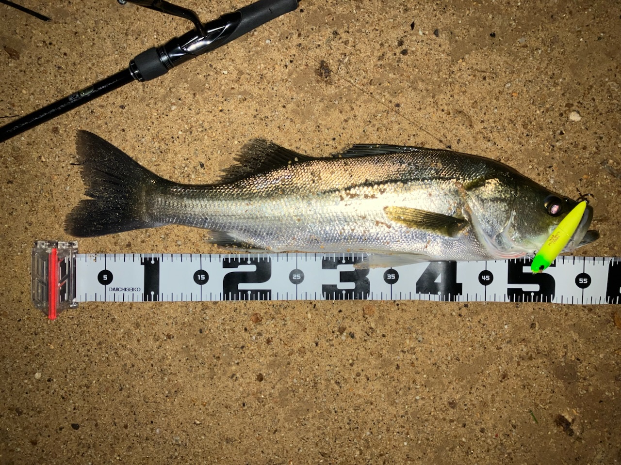 ima PUGACHEV'S COBRA 60 & 90