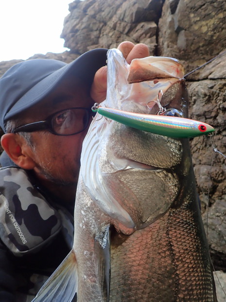 FCL Labo JD-P SC 135