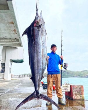 HOTS Kansuke Standing Marlin 59 (Live Bait)