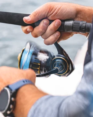 DAIWA SALTIGA (2023)