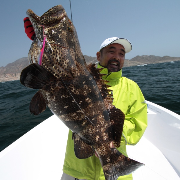 FCLLABO METAL JIG SL.C