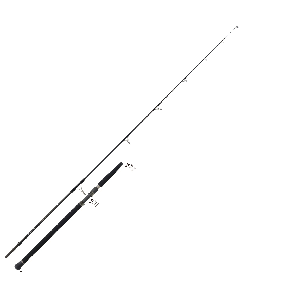 Ripple Fisher Aquila