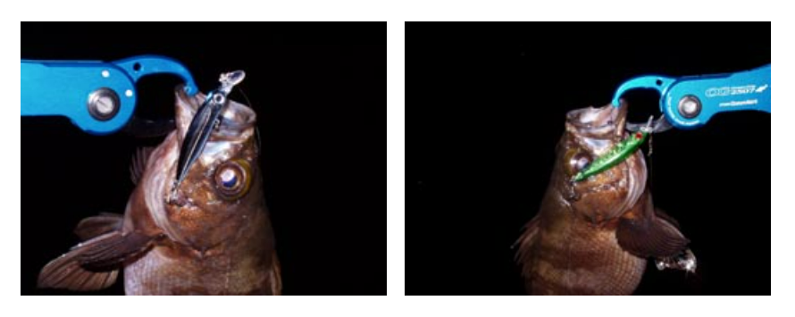 Smith Shirasu Minnow 40