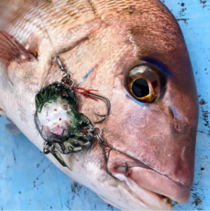 Seven Kanijan Walker