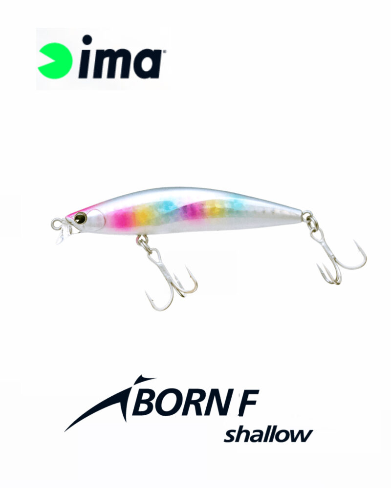 ima iBORN F SHALLOW