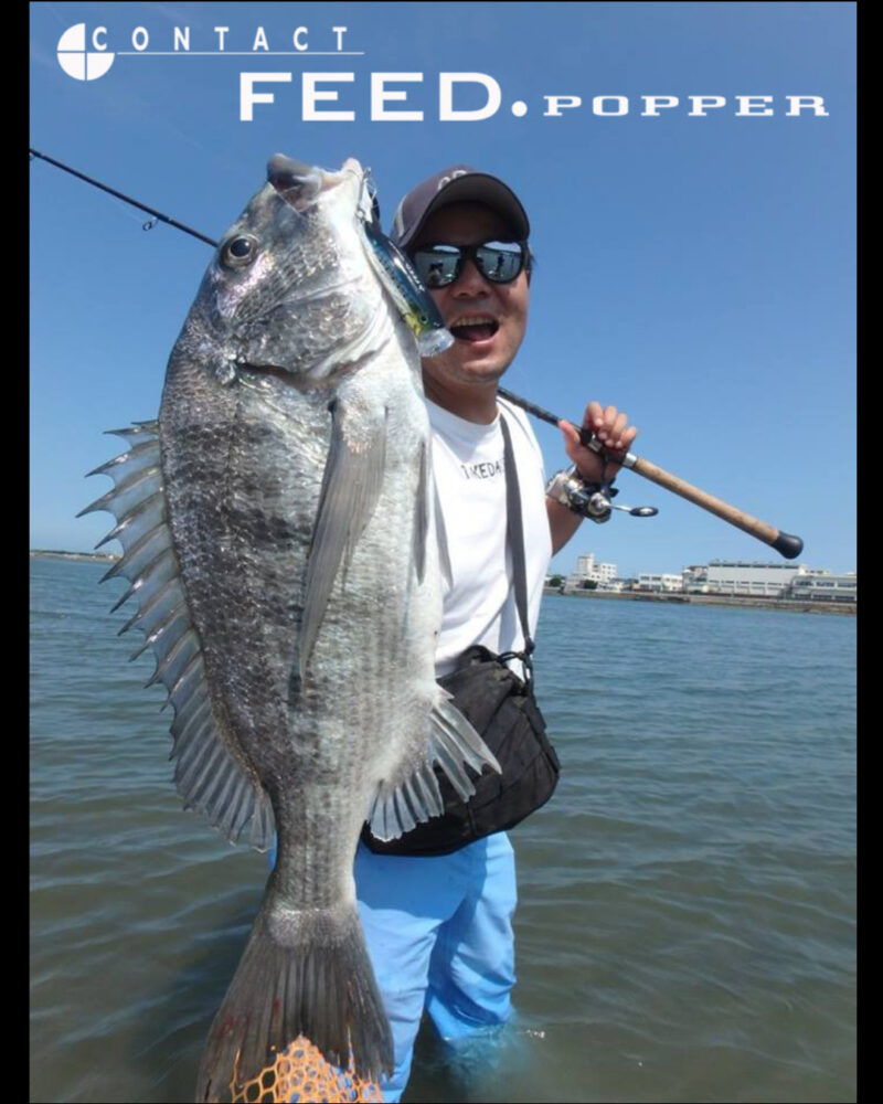 Tackle House CONTACT FEED Popper 70