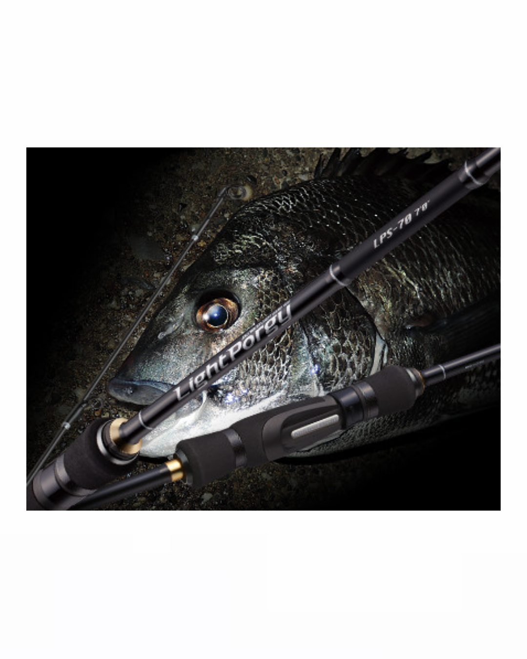 GM Light Porguy Chinu