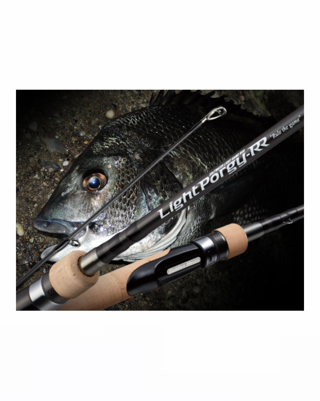 GM Light Porguy-RR Chinu