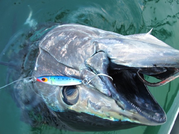 FCLLABO METAL JIG SL