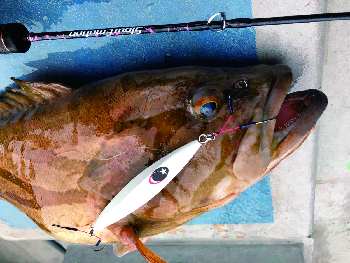 XESTA SLOW EMOTION CHAFF Jig