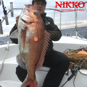 NIKKO Tairubber Basic Set