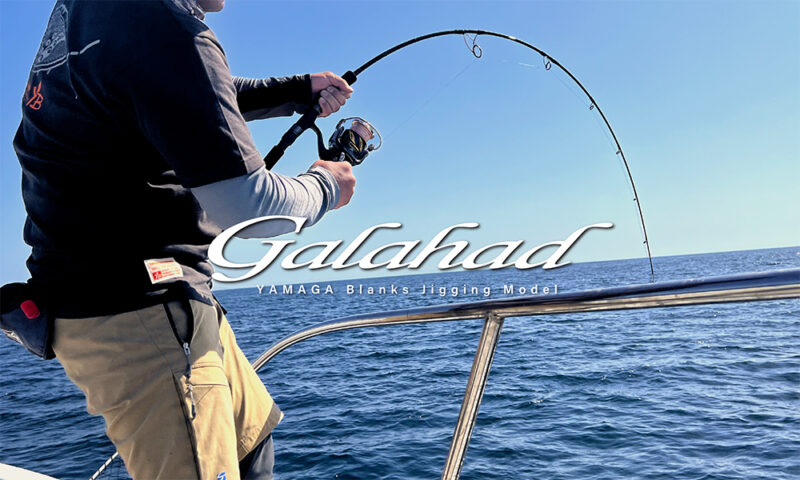 Galahad Spinnig Model
