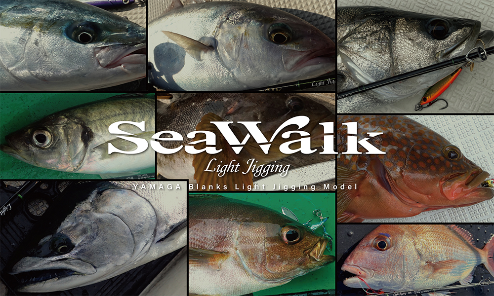 Seawalk Light Jigging Spinnig Model