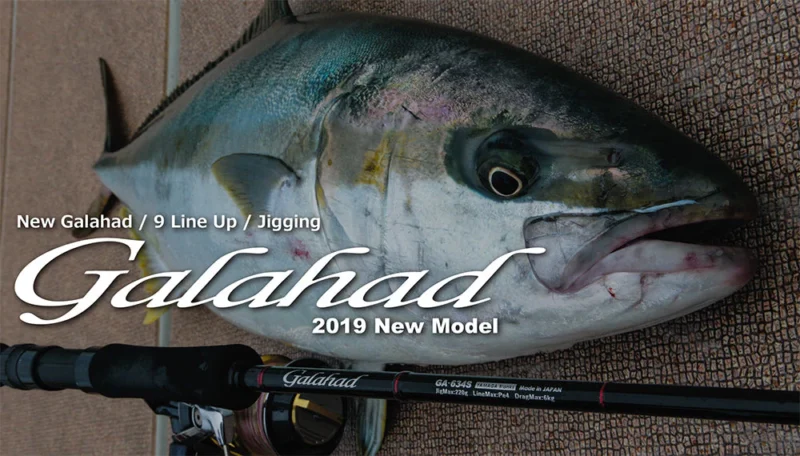 Galahad 2019 Spinning Model