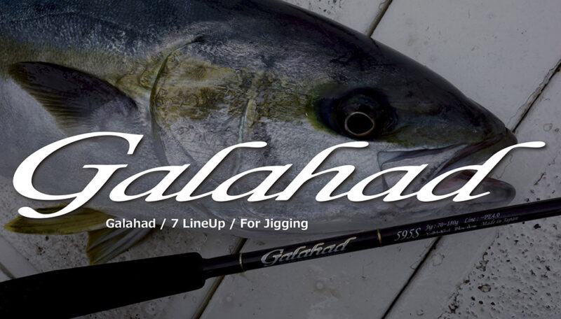 Galahad Bait Model