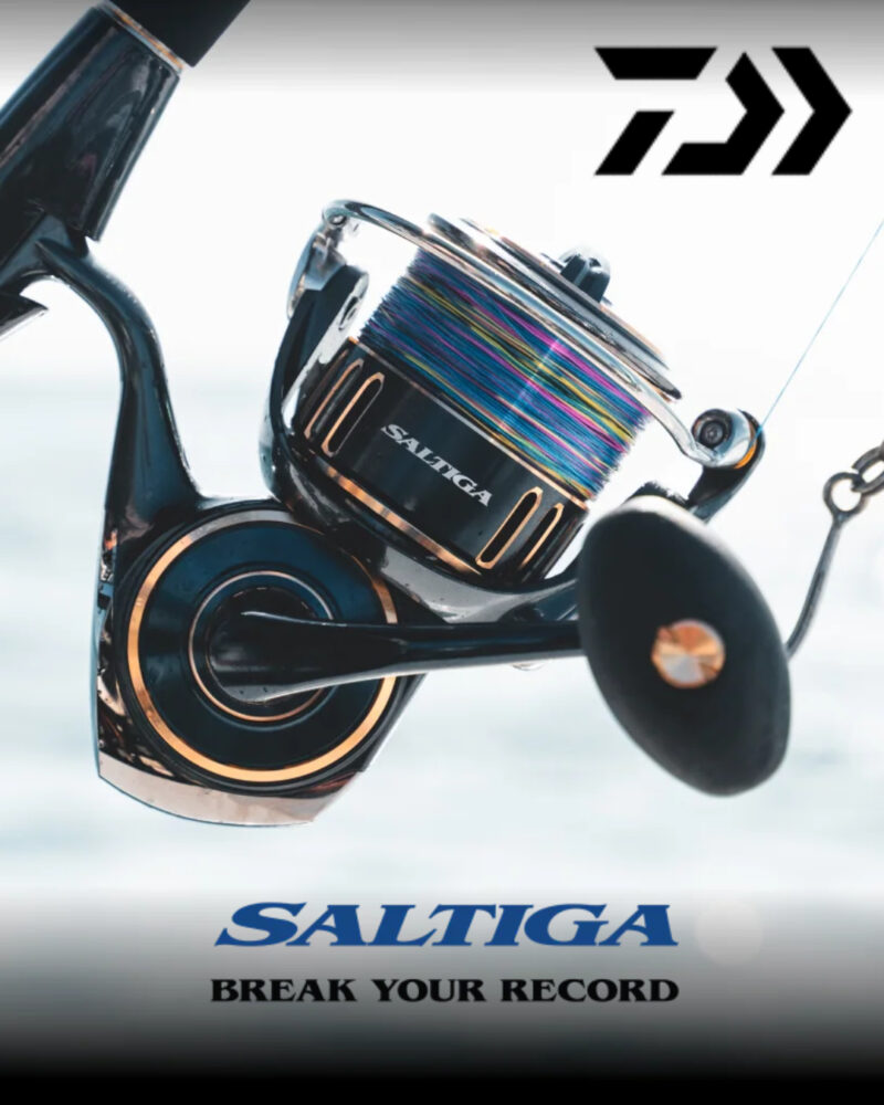 DAIWA SALTIGA (2025)