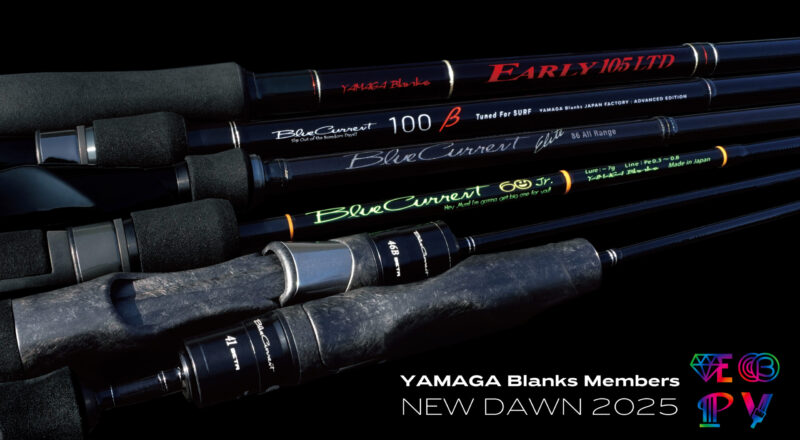 BlueCurrent NEW-DAWN Limited model Series