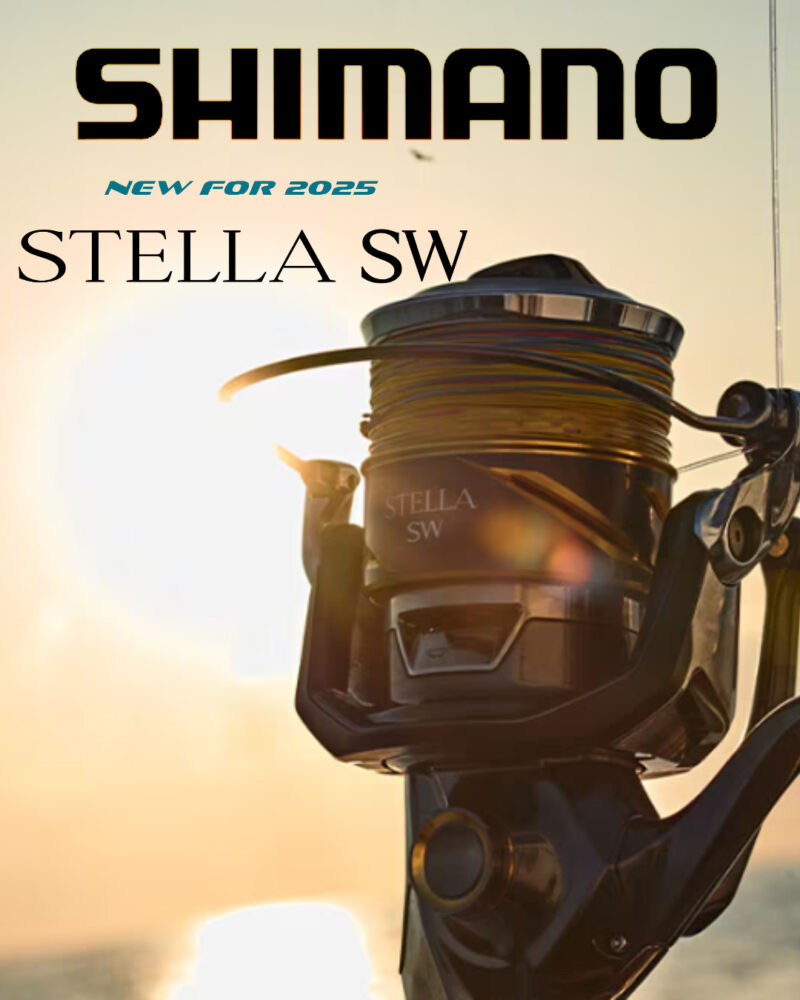 Shimano 25 Stella SW