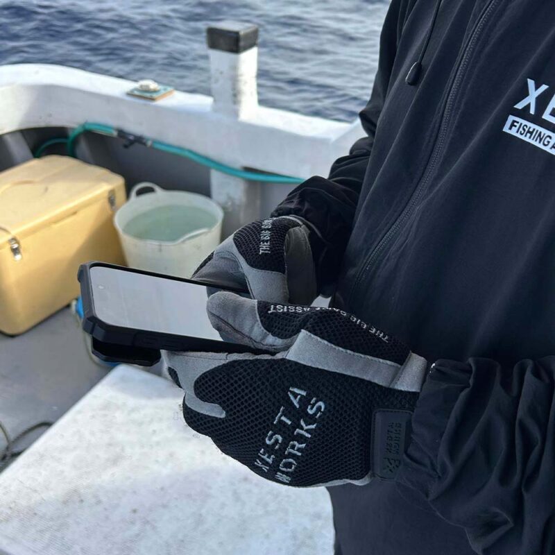 XESTA Assist Gloves