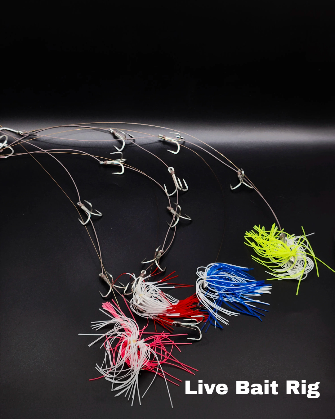 Offshore Adventure Live Bait Rig