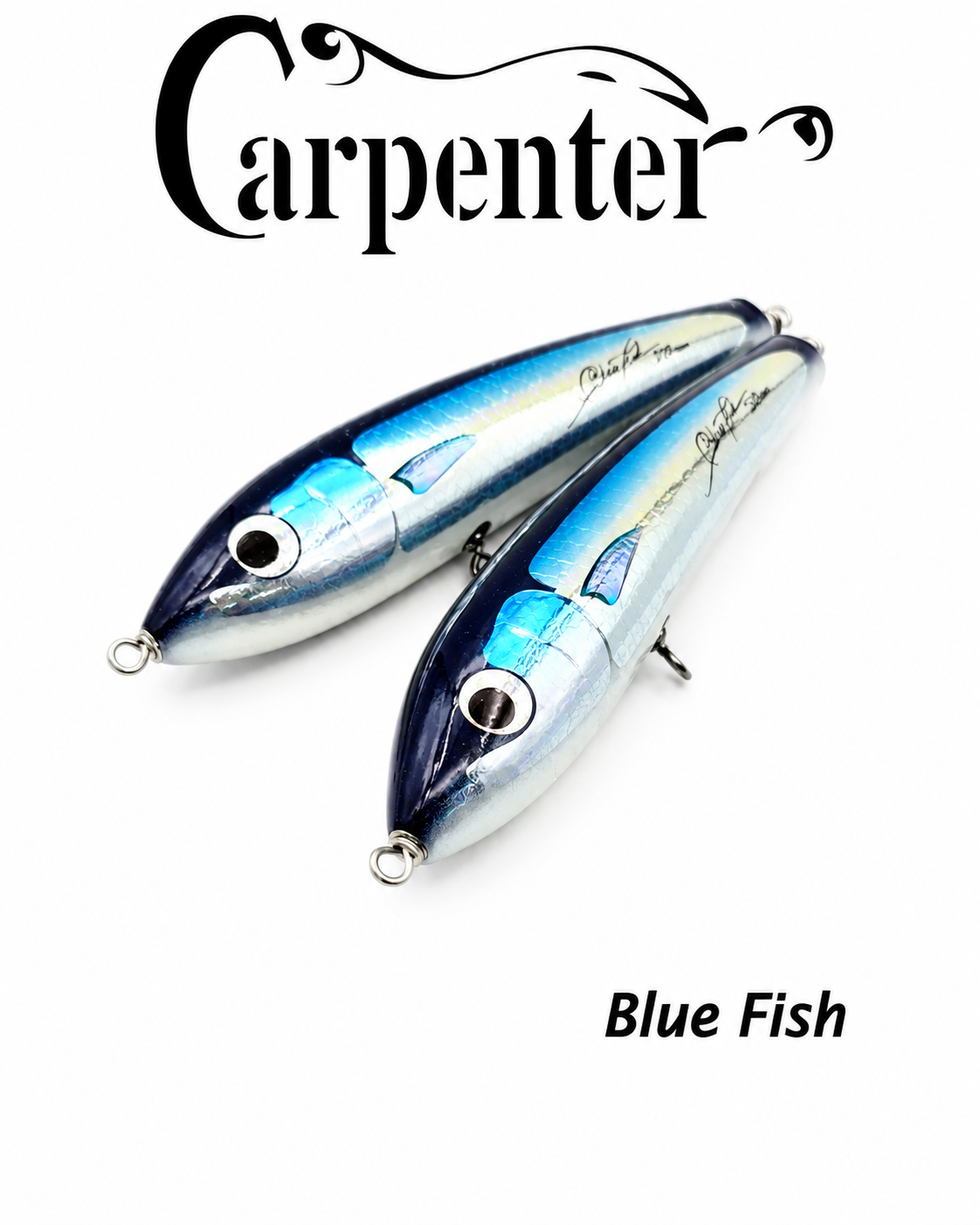 CARPENTER BLUE FISH