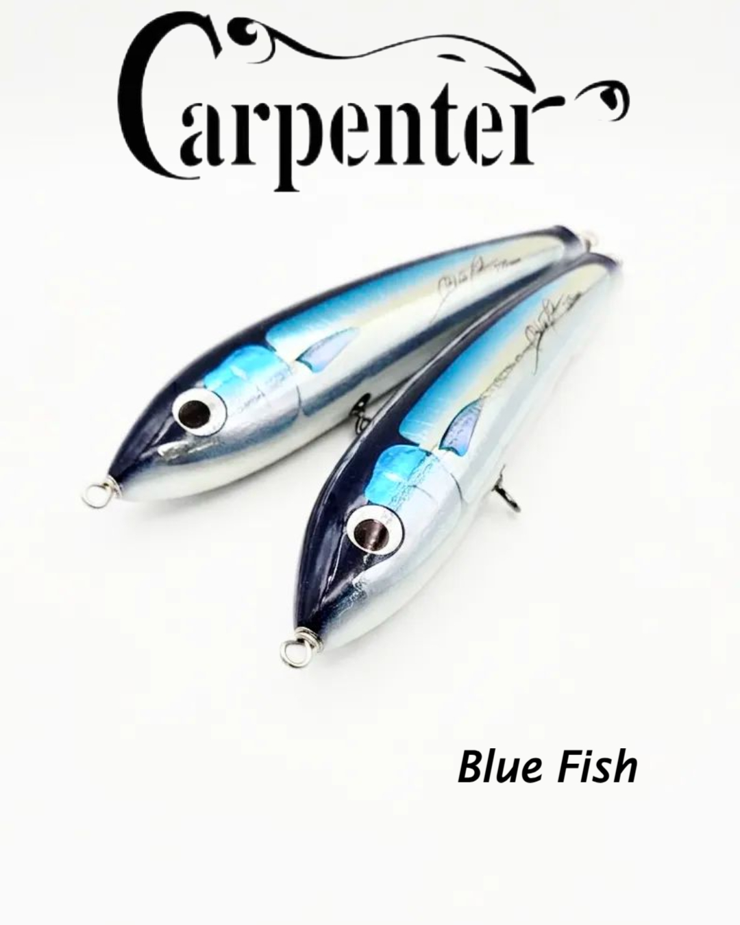 CARPENTER BLUE FISH